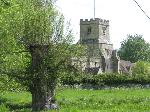 Church of St James Church tower viewed across vibrant-green watermeadows with willows
