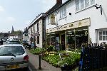 Shop front for a market garden shop, with bedding plants on the pavement outside
