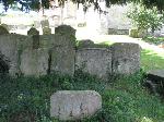Row of closely packed Cotswold stone headstones in the shade of a yew