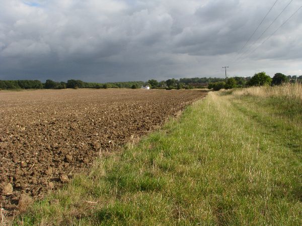 View across fields to a hilltop fringe of woodland, with a stormy sky