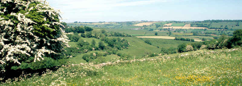 View east from the fields in Lansdown