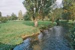 River Coln near Quenington